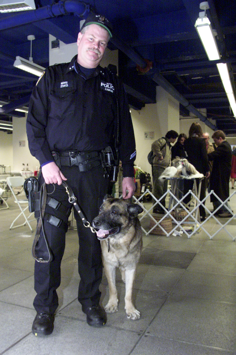 New York Police K-9 officer Peter Davis and his Search and Rescue dog, Apollo, attend the New York Specialty Dog Show February 9, 2002 in New York City. Officer Davis and Apollo were the first Search and Rescue dog crew on site after the collapse of the World Trade Center September 11, 2001 in New York. Officer Davis and Apollo received the Langden Sarter award from the American Kenel Club (AKC). A check for $400,000 was given from the AKC to the Federal Emergency Management Agency (FEMA) for studies on the health affects of exposure to the site on dogs like Apollo. (Photo by George Best/Getty Images)