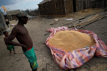 A Malagasy man stands next to pile of corn in the village of Lambokely near the city of Morondava