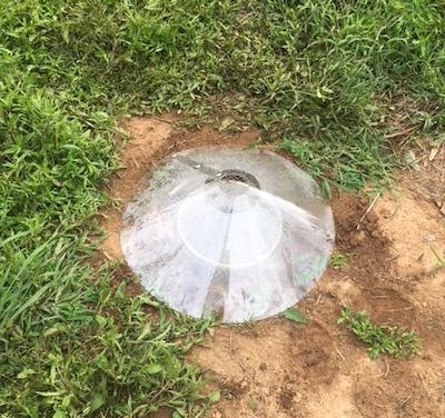 A dung beetle greenhouse placed over a buried bucket of soil in the author’s field trial. Kimberly Sheldon, <a href="http://creativecommons.org/licenses/by-nd/4.0/" rel="nofollow noopener" target="_blank" data-ylk="slk:CC BY-ND;elm:context_link;itc:0;sec:content-canvas" class="link ">CC BY-ND</a>