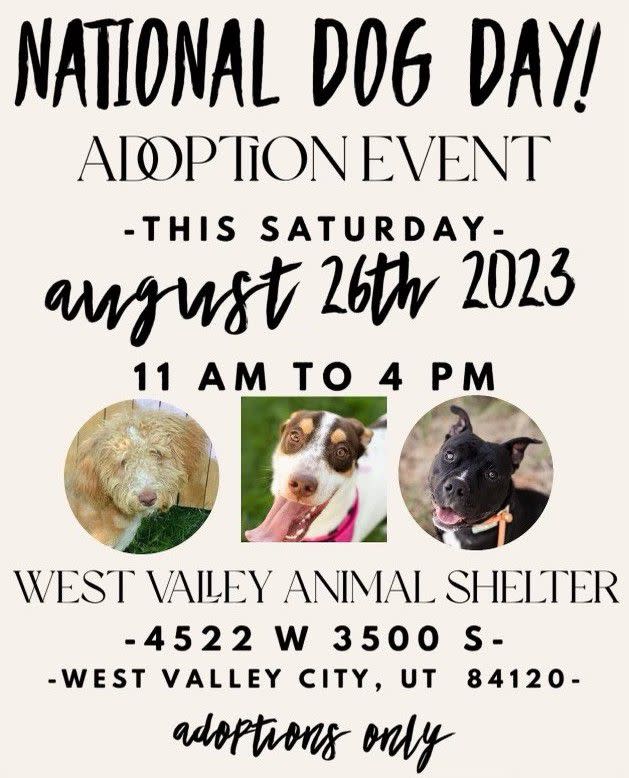 Screenshot from West Valley City Animal Service’s Facebook page