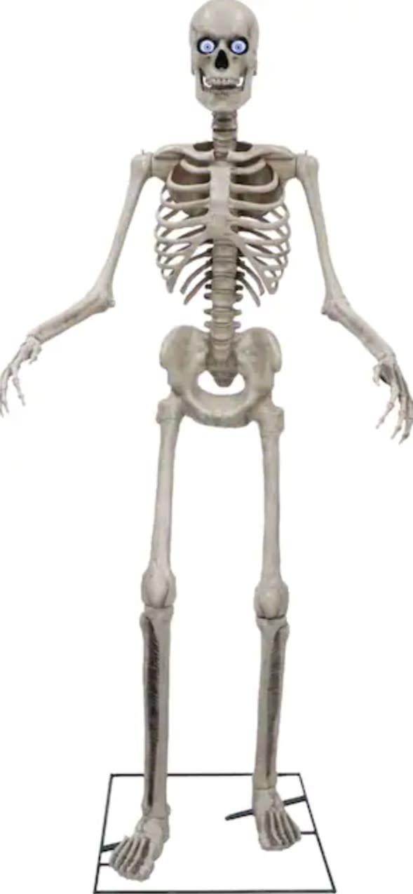 6 Ft Tall Crazy Bonez Pose-N-Stay Skeleton