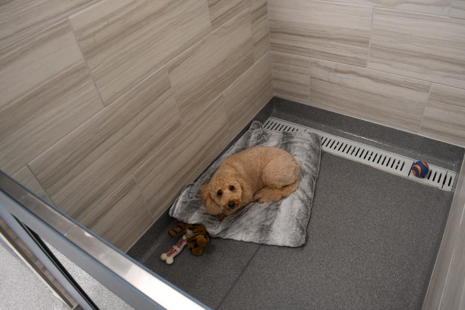 Owners are allowed to bring their pets' bedding, blankets and toys to make them feel more comfortable during their stay at the pet hotel recently opened at Montgomery Animal Hospital.