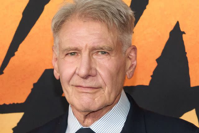 <p>ALLISON DINNER/EPA-EFE/Shutterstock </p> Harrison Ford