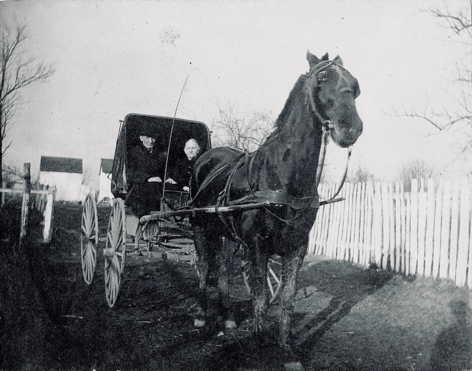 Mr. and Mrs. George Pound of Cavetown in their horse and buggy, ca. late 19th century. Horses provided the primary mode of transportation.