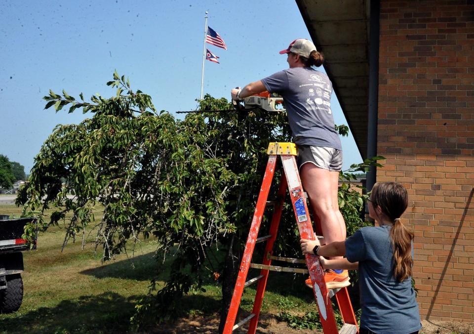 John R. Lea Middle School custodian Jennifer Frazier trims a small tree while Waynedale student Eilee Mumaw holds her ladder.