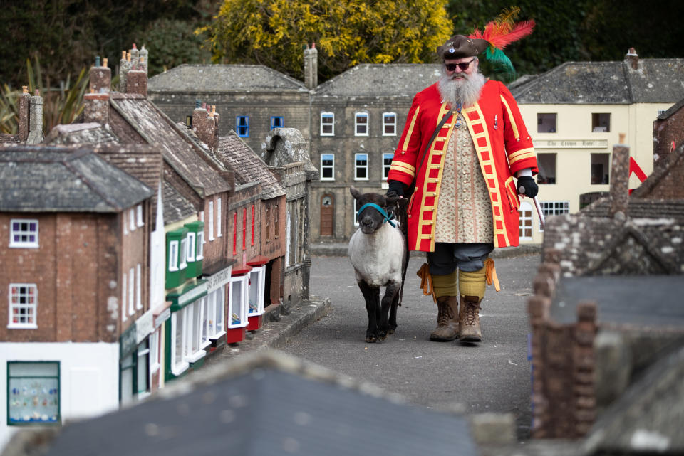 <p>Chris Brown, the Town Crier and Mayor's Serjant of Wimborne Minster, in Dorset, exercises his right as an Honorary Freeman to drive sheep through Wimborne without charge, albeit through the Wimborne Model Town, to herald their re-opening on 12th April after the easing of lockdown restrictions. Picture date: Wednesday April 7, 2021.</p>
