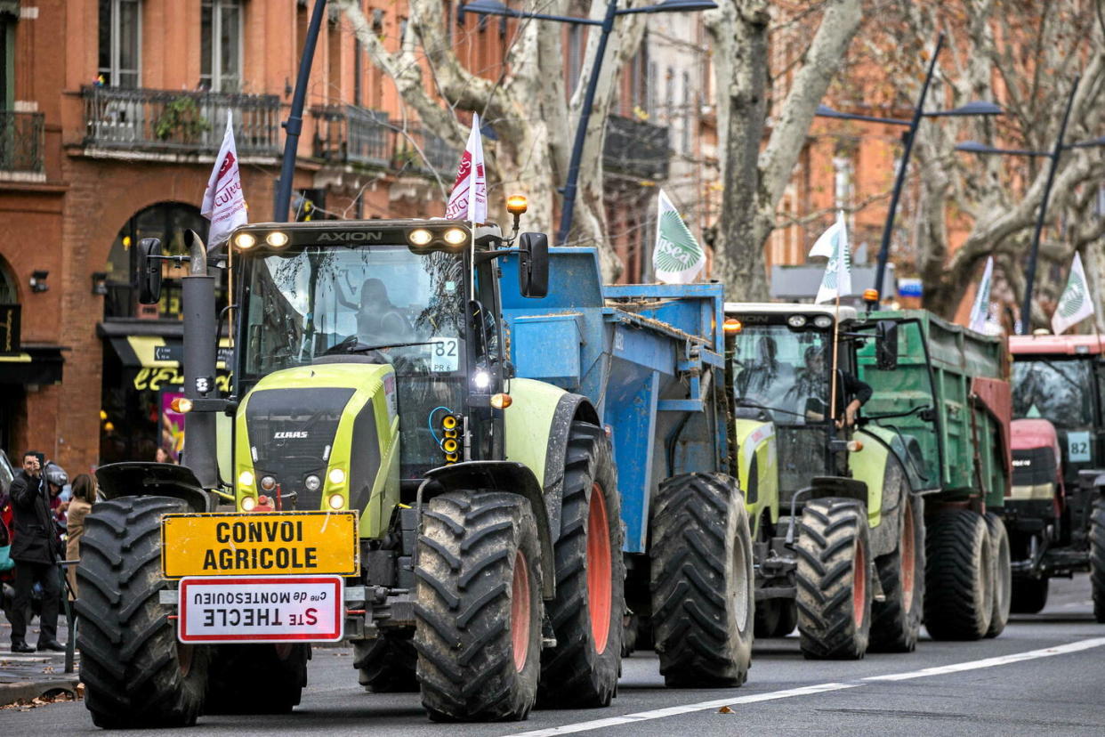 Manifestation des agriculteurs, mardi 16 janvier, dans le centre ville de Toulouse pour interpeller le public sur le désarroi de la profession.   - Credit:FRED SCHEIBER/SIPA / SIPA / FRED SCHEIBER/SIPA