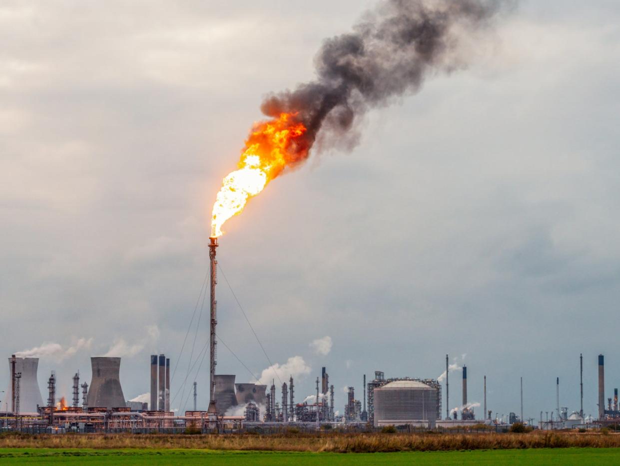 Panel will focus on global approaches to cutting emissions, advancing carbon capture technology and restoring nature (Getty)