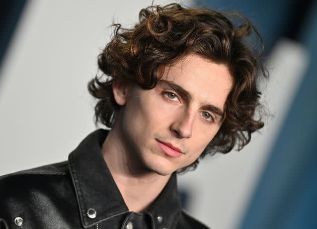 Timothée Chalamet  (Photo: Lionel Hahn via Getty Images)