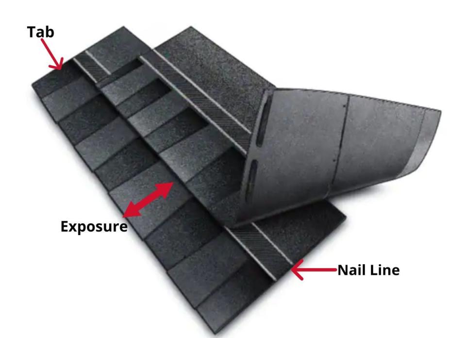 Labeled Diagram of parts of Shingles