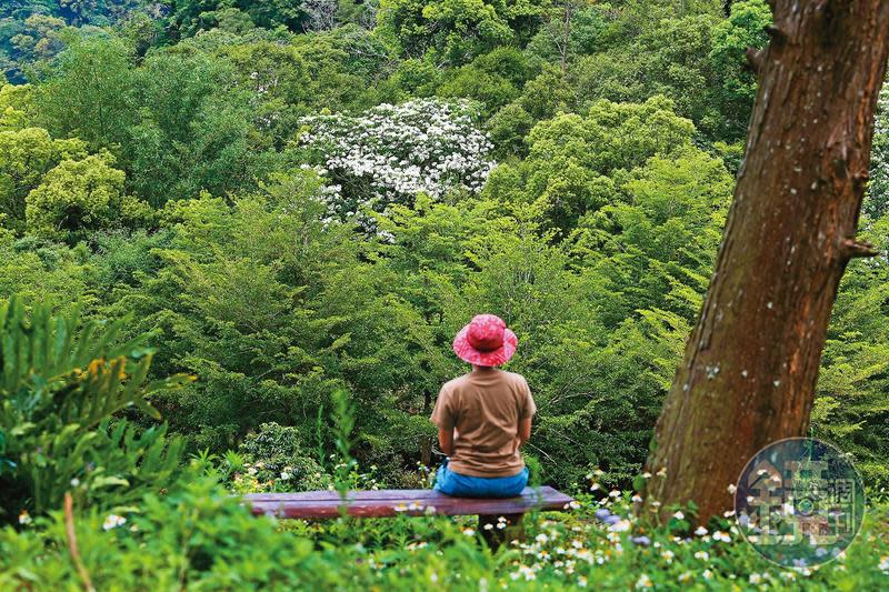 位於苗栗卓蘭「景山．大經」的主人袁珮蓓，會在她喜歡的農場角落，設置一張長椅，安坐欣賞遠方山頭的綠意。