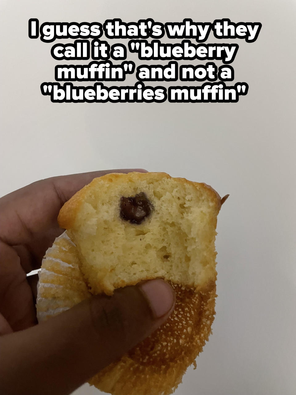 Hand holding a half-eaten muffin with a single blueberry inside, with caption, "I guess that's why they call it a blueberry muffin and not a blueberries muffin"