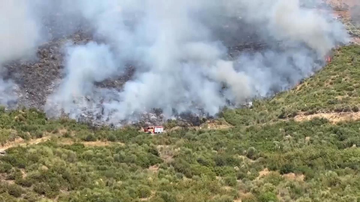 Greece Battles Massive Wildfire Near Athens