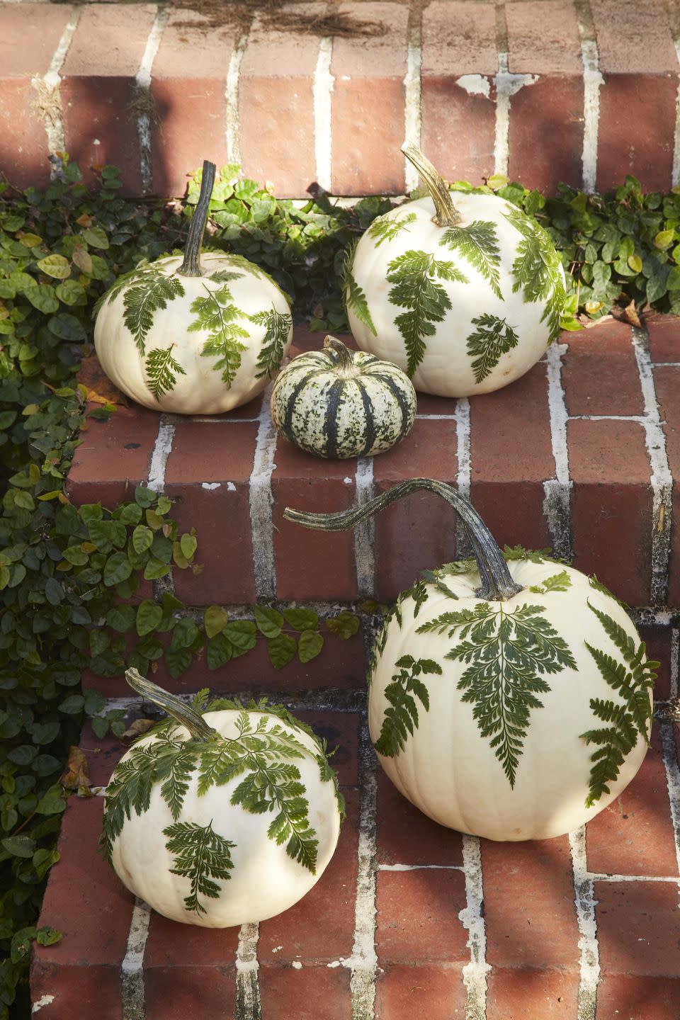 Fern Covered Pumpkins