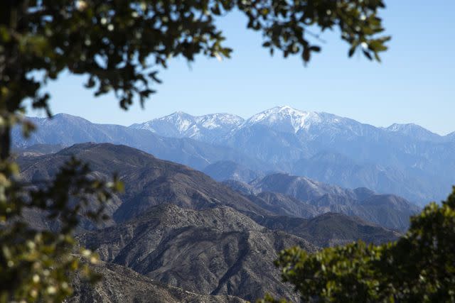 Myung J. Chun/Los Angeles Times via Getty Sands went missing during a solo hike in Mt. Baldy in January