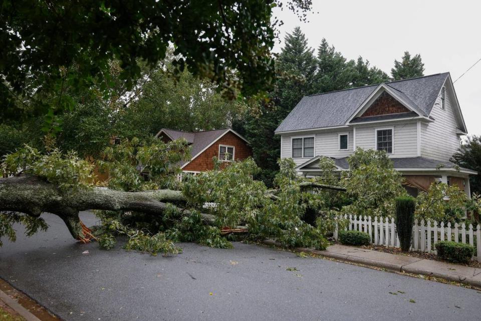 A fallen tree blocks on Holt Street as Hurricane Ian and its remnants begin to arrive in Charlotte, N.C., Friday., Sept. 30, 2022.