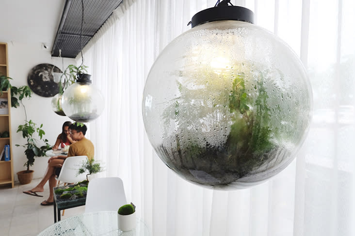 This light up terrarium called the 'Moon Forest' serves as ornamental lighting for the cafe