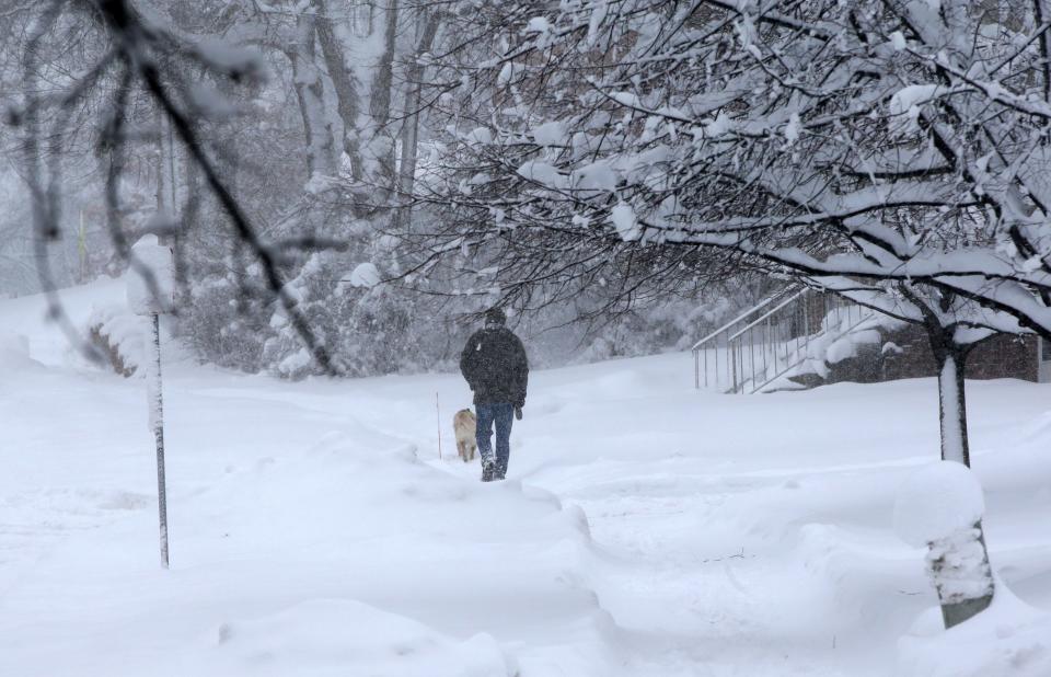 A person walks their dog through snow along Oakcrest Street Friday, Jan. 12, 2024 in Iowa City, Iowa.