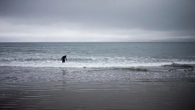 Poisonous algae bloom affected major cities and fishing towns in Chile in 2016. Experts said it was linked to high temperatures stemming from the El Niño. 