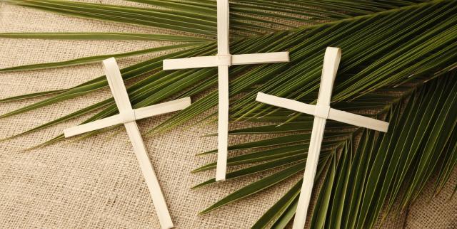 30 Palm Sunday Scripture 2023 - Palm Sunday Bible Verses Verses