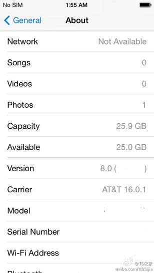 據稱是iOS 8的設定畫面。
