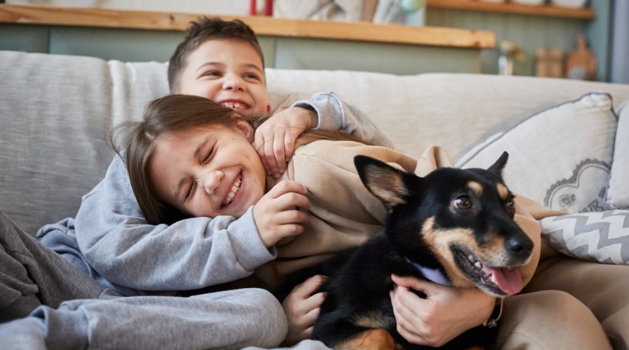 Two kids cuddling dog on the sofa - 25 best dogs for families  