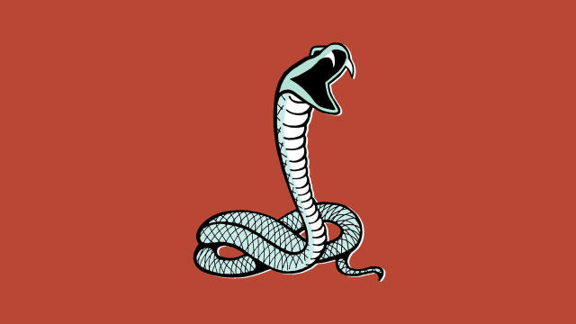 Snake Together