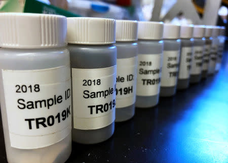 FILE PHOTO: Lead samples line up ready for testing at the Lamont-Doherty Earth Observatory in Palisades, New York, U.S. March 29, 2018. REUTERS/Mike Wood/File Photo