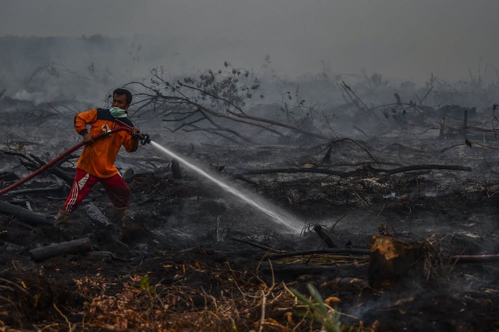 Indonesian firefighters battle a forest fire in Kampar, Riau September 9, 2019. — AFP pic