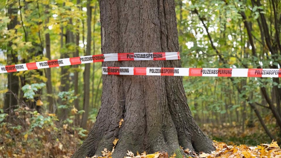 Das Lügenmärchen von einem verfolgten Mädchen löste in Dresden einen Großeinsatz der Polizei aus.