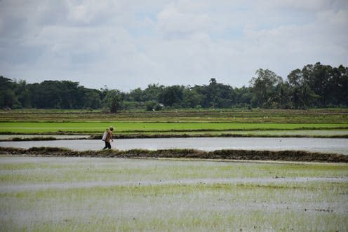 <span class="caption">Low lying regions could be devastated by sea level rise this century.</span> <span class="attribution"><span class="source">Zita Sebesvari/UNU-EHS</span>, <span class="license">Author provided</span></span>