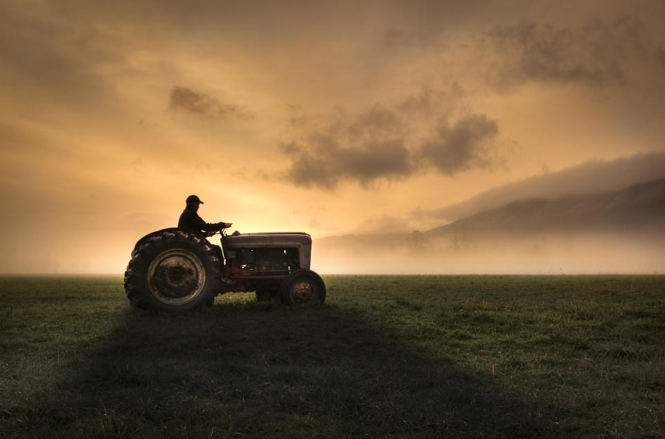 Es mag auf den ersten Blick überraschen, dennoch gehören auch Berufe in der Landwirtschaft zu den besonders gefährlichen. Landwirte üben ihren Job mit schweren Maschinen aus, was die Verletzungsgefahr erhöht. Wenn etwas passiert, dann sind die Verletzungen eher groß als klein. In den USA zum Beispiel endeten im Jahr 2017 laut dem Magazin "24/7 Wall Street" 58,9 Prozent aller Verletzungen in der Landwirtschaft tödlich. (Bild: Getty Images)