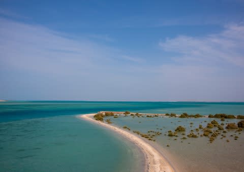 The Farasan Islands - Credit: eric lafforgue