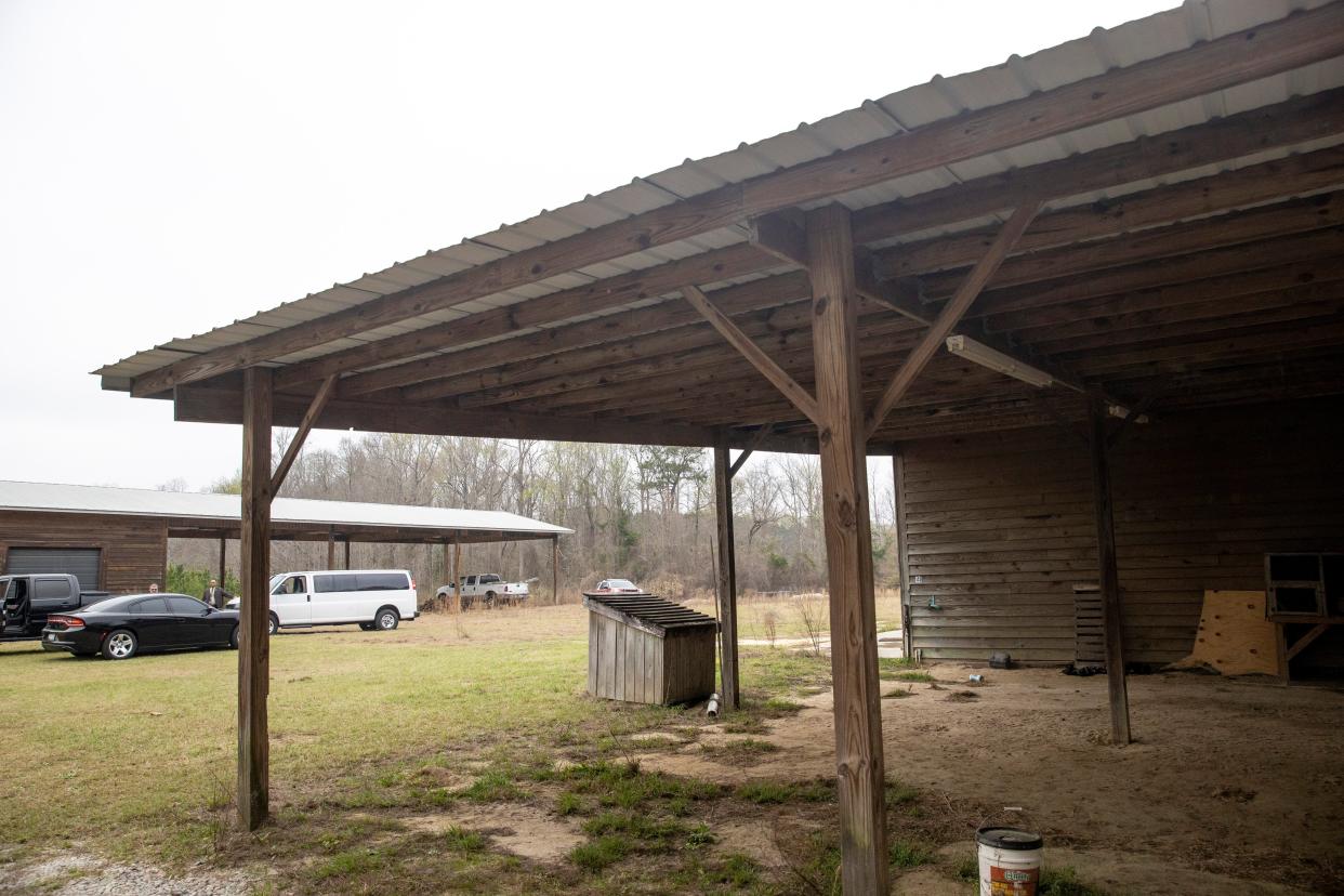 A view from where Maggie Murdaugh was found at the Murdaugh Moselle property on Wednesday (AP)