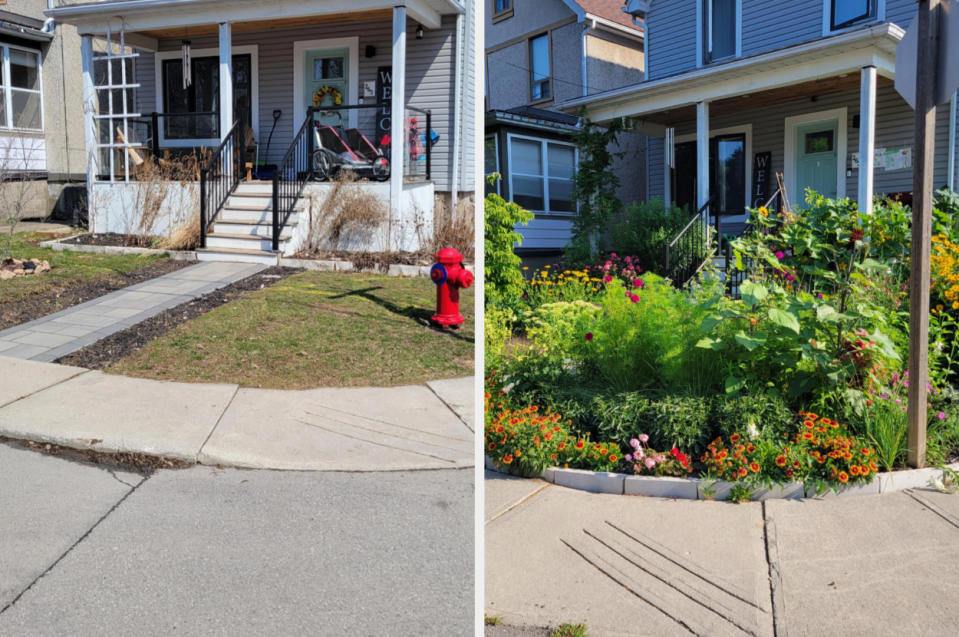 Before and after of a person's lawn