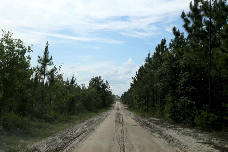 A dirt road runs through the Bryan County mega-site.