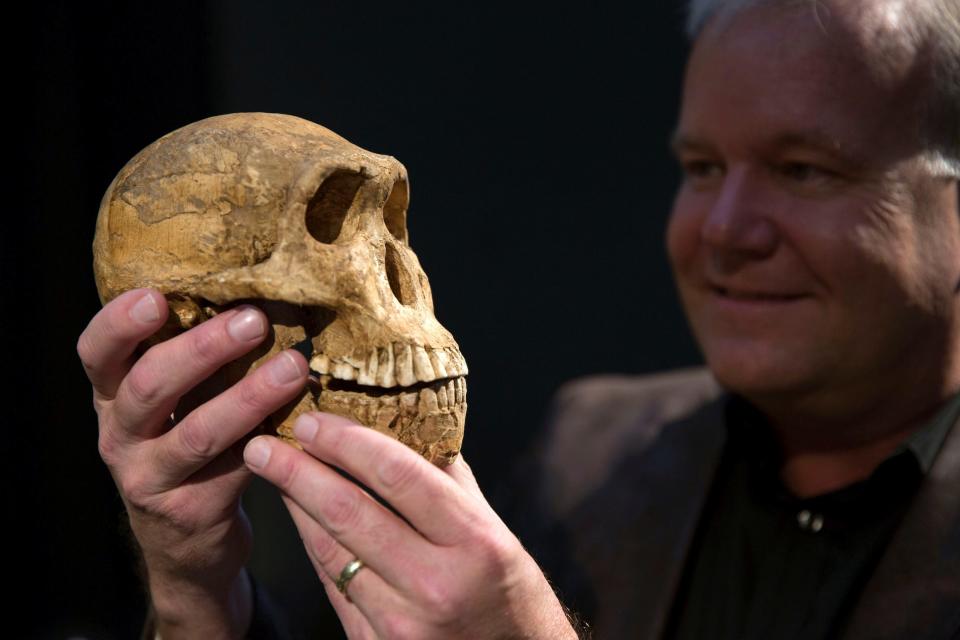 Homo naledi skull