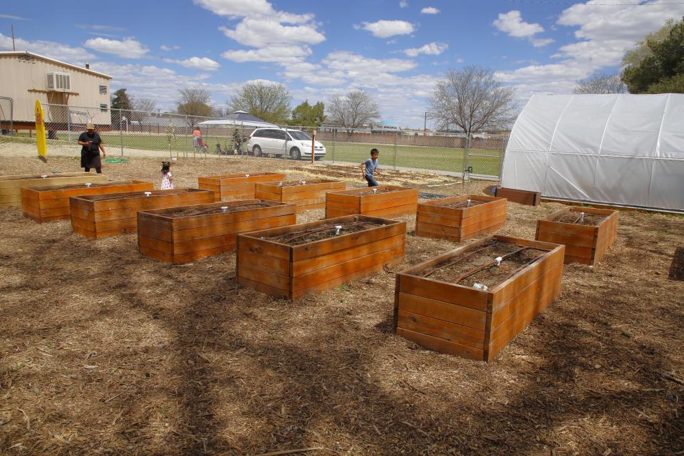 The Animas Elementary School Community Garden features a dozen wooden planters where fresh produce is being grown, along with a small orchard, a greenhouse and blackberry bushes.