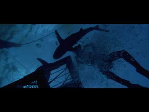 <p>Peter Gimbel’s 1971 documentary <em>Blue Water, White Death</em> documents his crew’s hunt across the Indian Ocean to photograph a great white shark. With real, daring feats in shark-infested waters, and well-done filmmaking at its core, this is the film to watch if you’re looking to avoid cheap special effects and sink your teeth into something authentic.</p><p><a class="link " href="https://www.amazon.com/gp/video/detail/B007AKE66C/ref=atv_dp_share_cu_r?tag=syn-yahoo-20&ascsubtag=%5Bartid%7C10054.g.35862706%5Bsrc%7Cyahoo-us" rel="nofollow noopener" target="_blank" data-ylk="slk:Watch on Amazon">Watch on Amazon</a></p><p><a href="https://www.youtube.com/watch?v=ctLXFtFKbvA" rel="nofollow noopener" target="_blank" data-ylk="slk:See the original post on Youtube" class="link ">See the original post on Youtube</a></p>