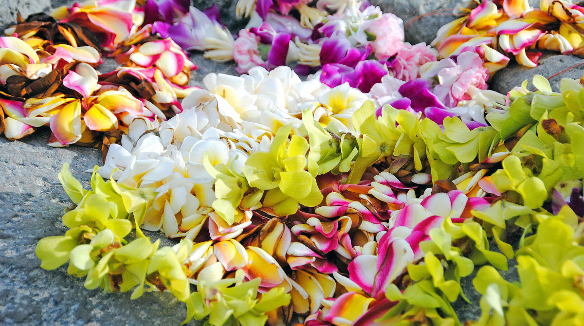 7 of Hawaiʻi's Most Popular Lei and What Makes Them Unique - Hawaii Magazine