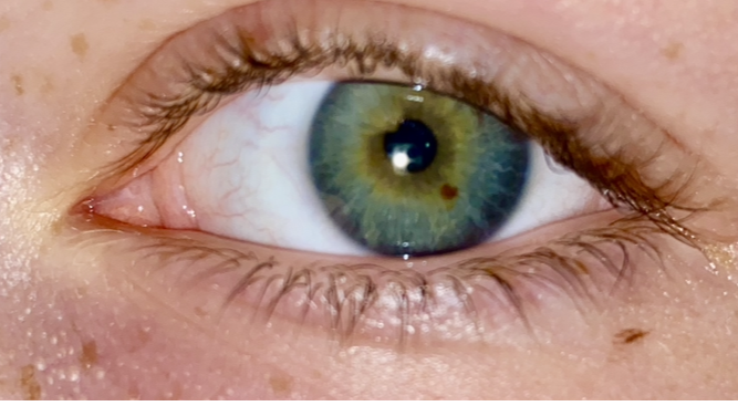 closeup of the eye