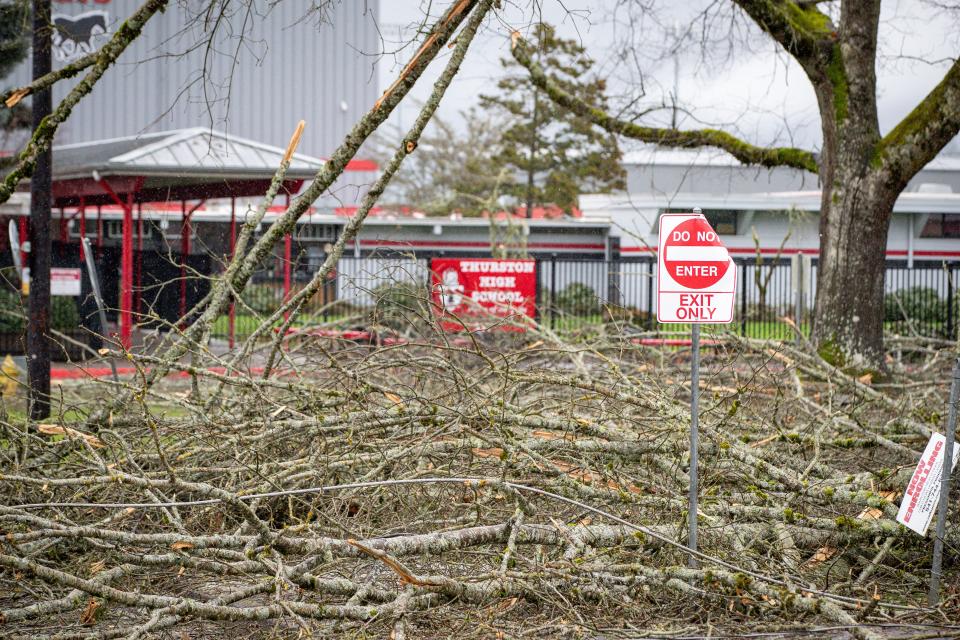 Branches and utility lines coat the front lawn at Thurston High School as winter storm recovery gets underway on Jan. 18 in Springfield.