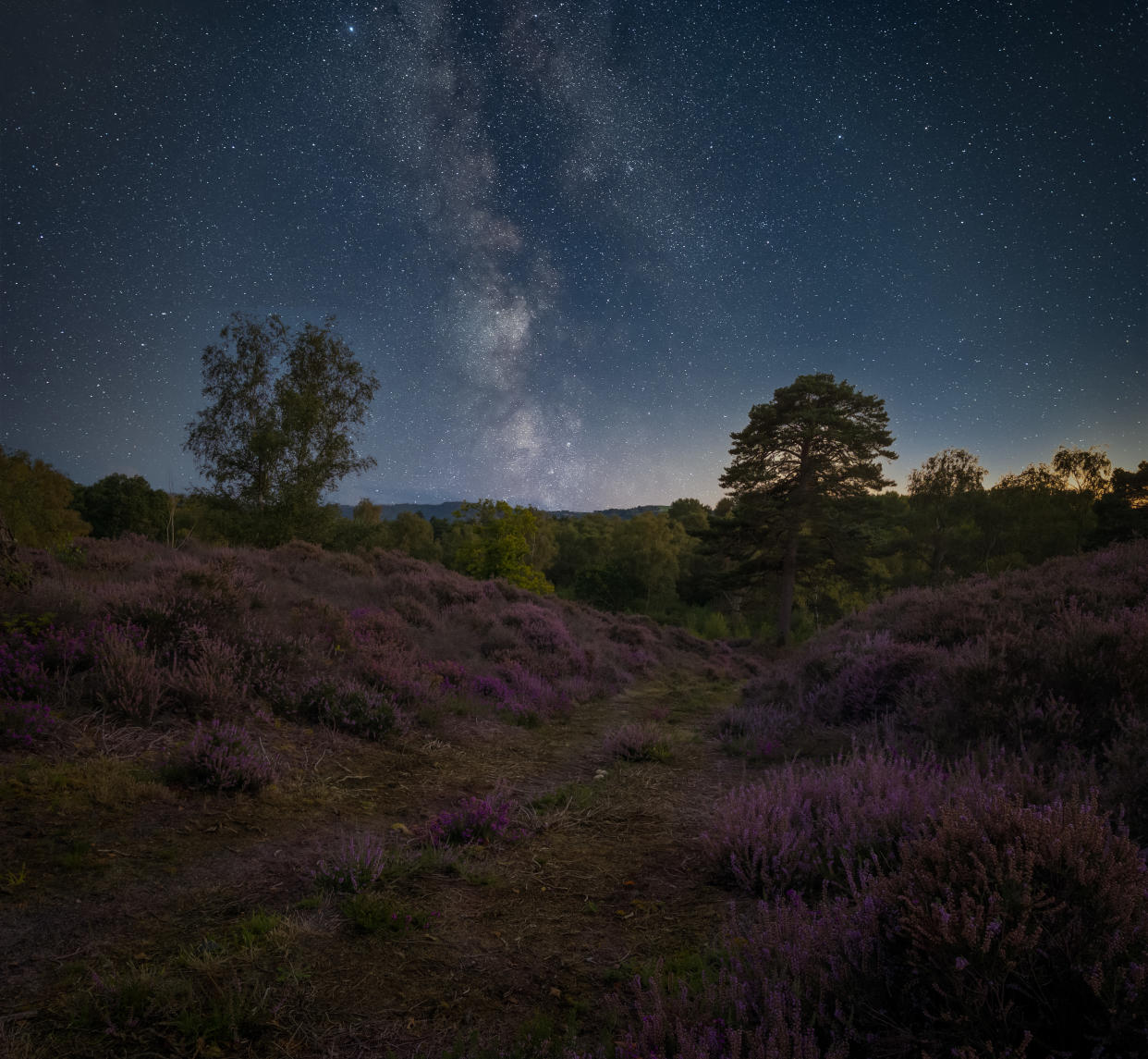 Heather and Milky Way by Carl Gough won the Nature At Night category (Carl Gough/SDNPA/PA)