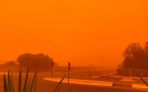 The sky has turned orange from dust storms caused by bushfires in Mildura in Victoria state - Credit: Petra Johansson/AFP&nbsp;