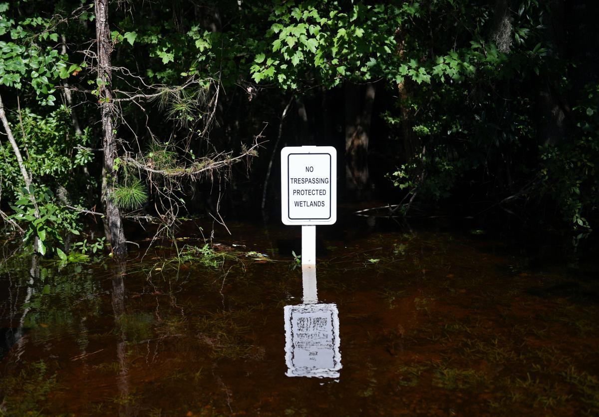 Tropical Storm Debby's rainfall lifted most of South Carolina out of drought, what to know