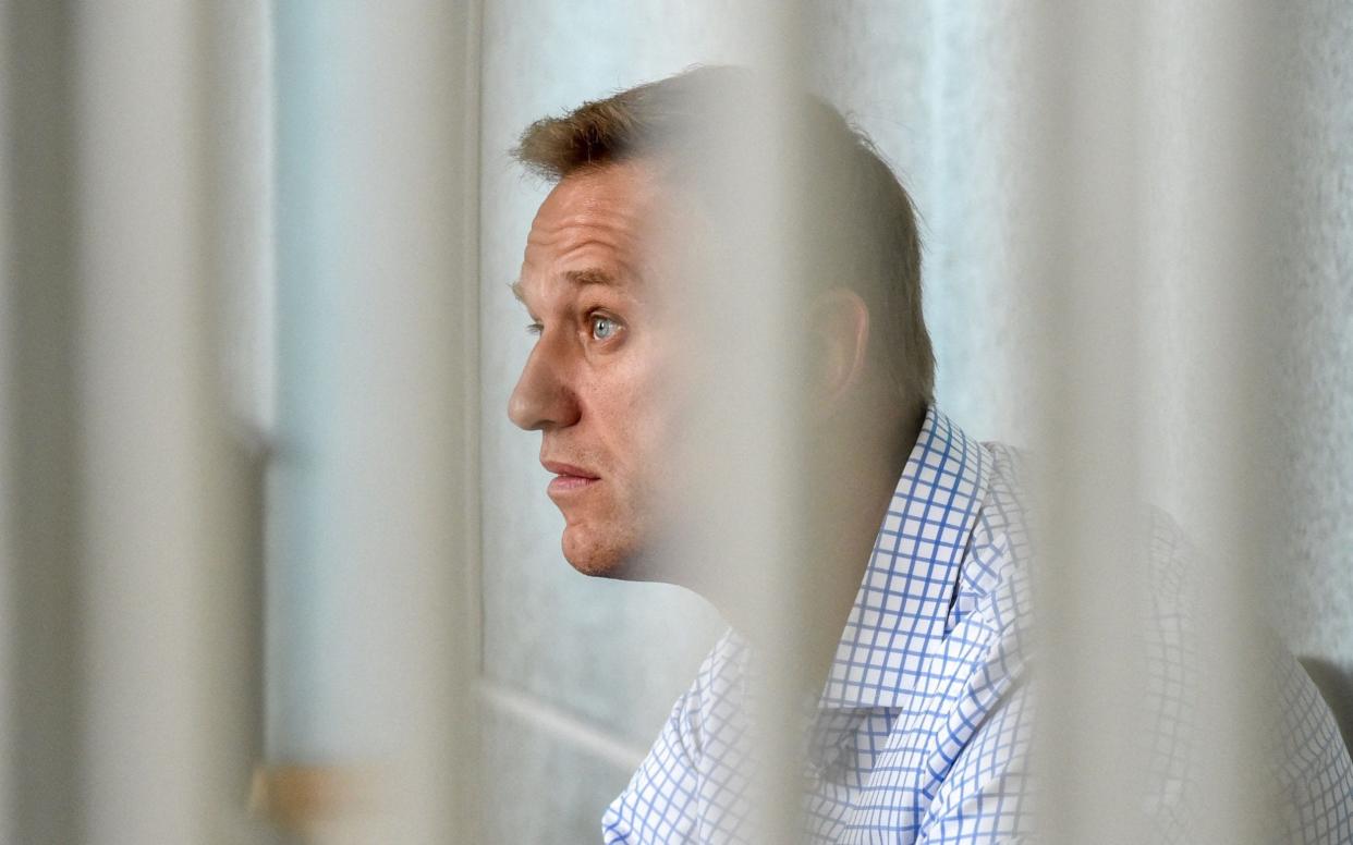 Alexei Navalny has been in prison since January - VASILY MAXIMOV /AFP