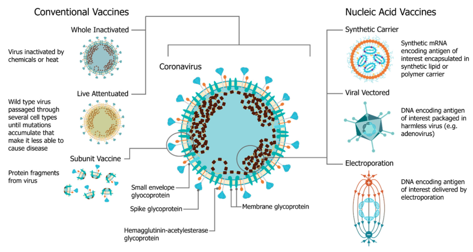 diagram of vaccine platform options