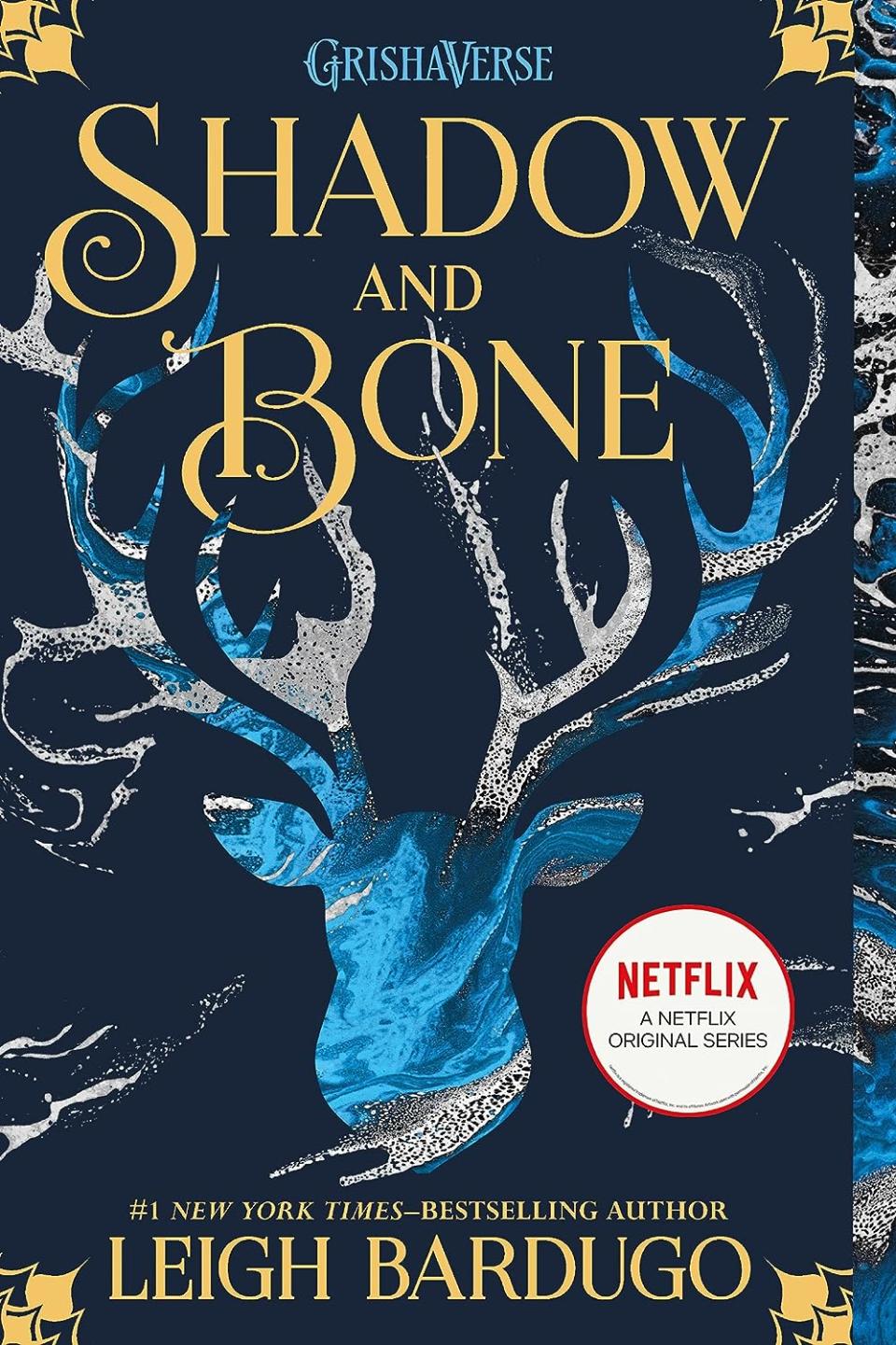 Shadow and Bone by Leigh Bardugo (books that are movies and shows)