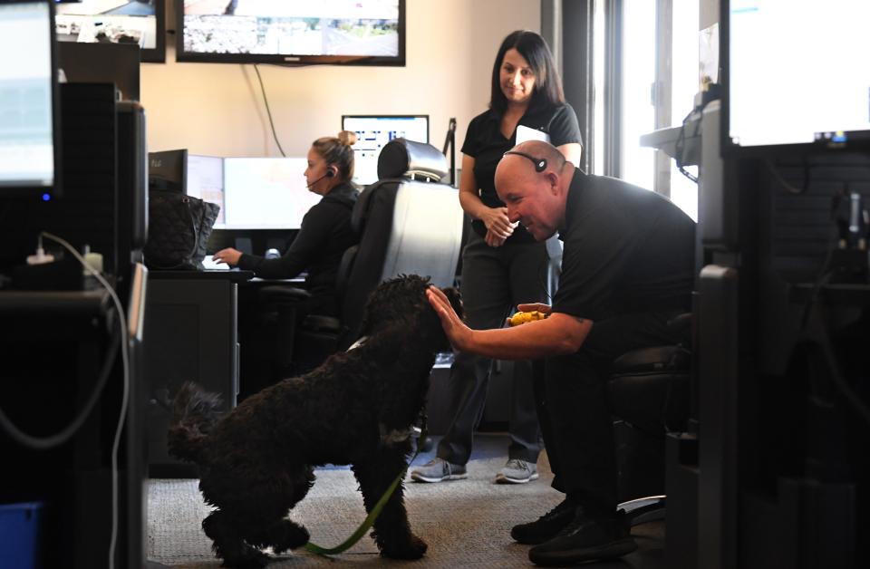 Asher, a therapy comfort dog, gives a high-five to Ventura Police Department dispatcher Greg Knapp on Monday as trainer Nancy Mitchell looks on. Mitchell's nonprofit recently donated the dog to the department.