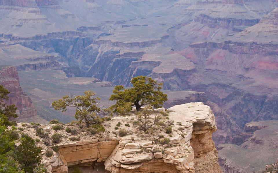 Arizona’s White Mountains